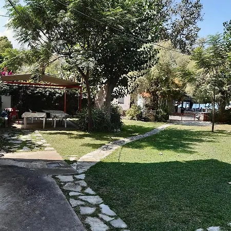 Blue Garden